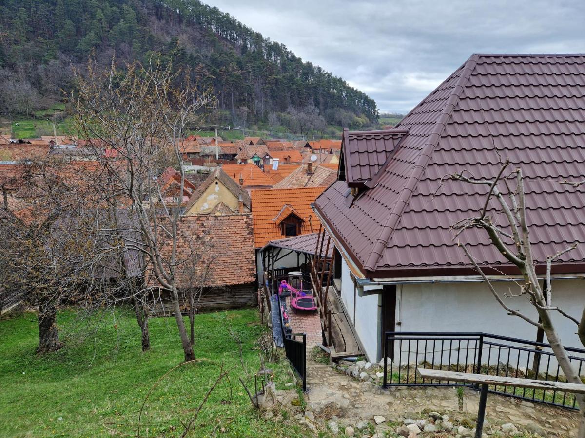 Pensiunea Carul Mare Rasinari Exterior photo